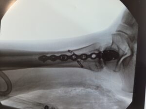 f5210c04-32bc-476f-8a91-e0e2c974ece1